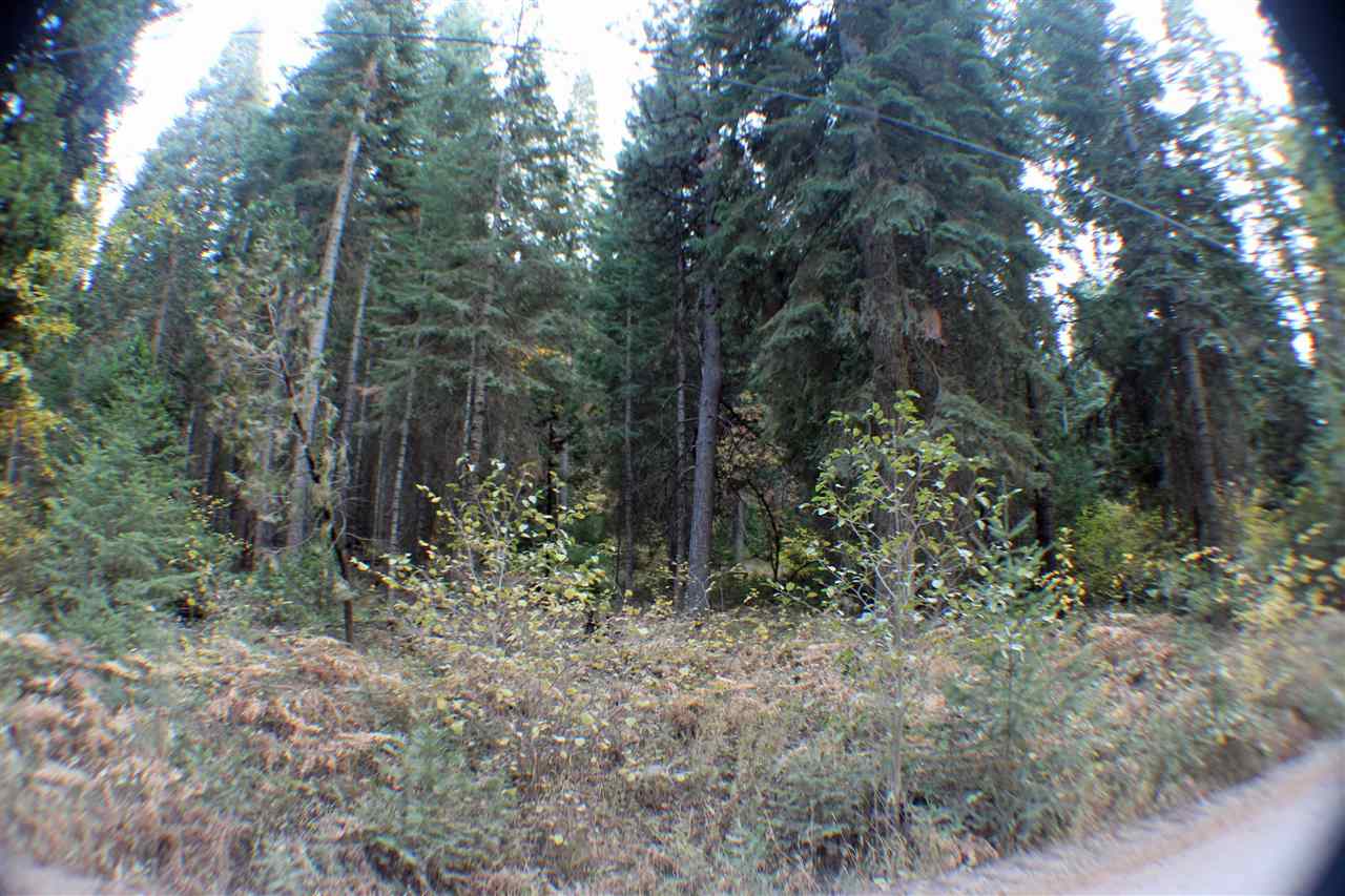 35 B Sugar Pine Road Weed, CA 96094 - Photo 8 of 9 Gallery Image 8