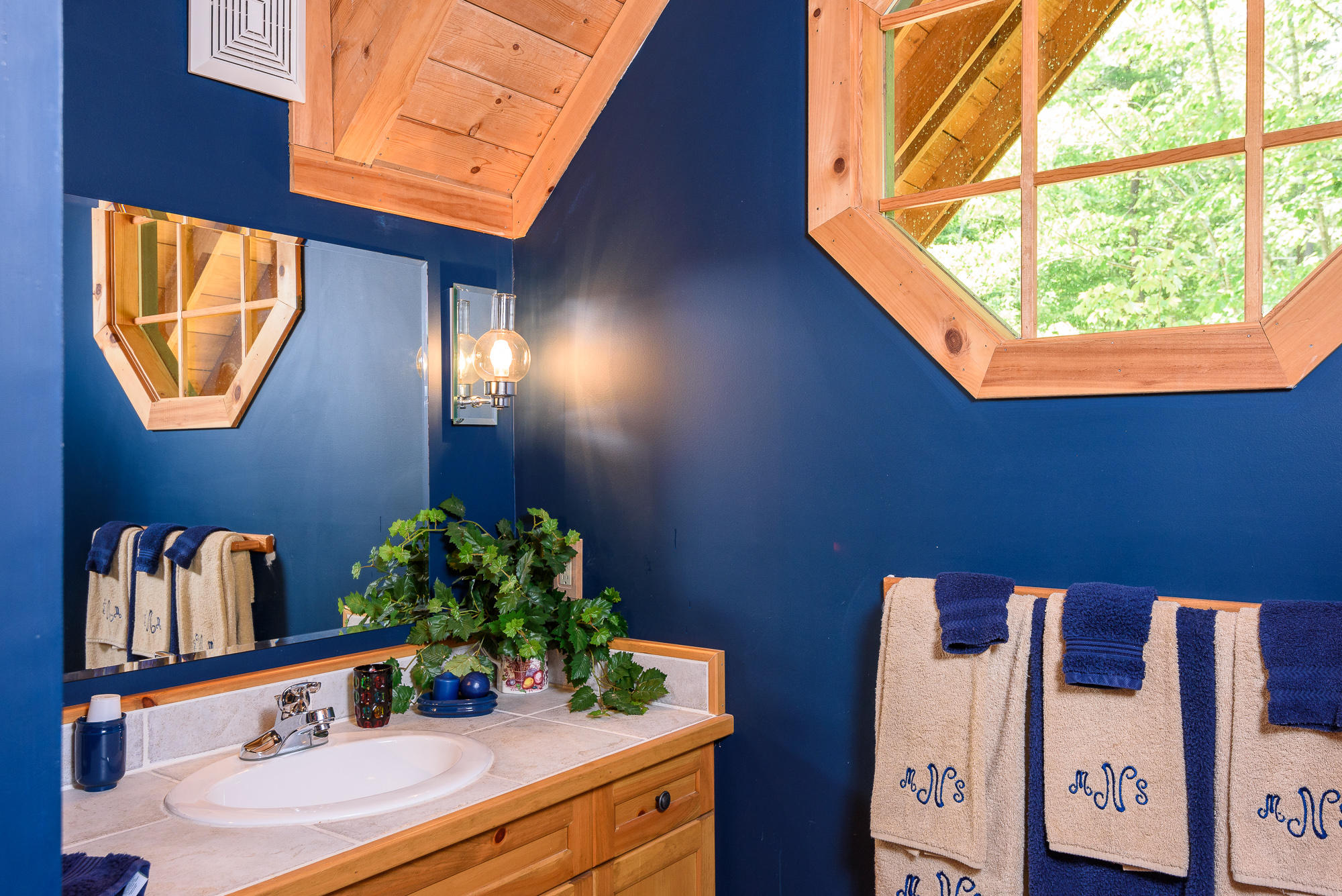 2386 Little Bend Road Signal Mountain, TN 37377 - Photo 23 of 42 hallbath_2