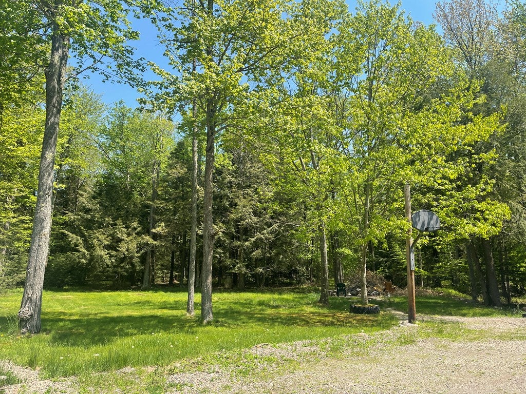 43 Long Valley Road Monroeton, PA 18832 - Photo 29 of 35 Gallery Image 29