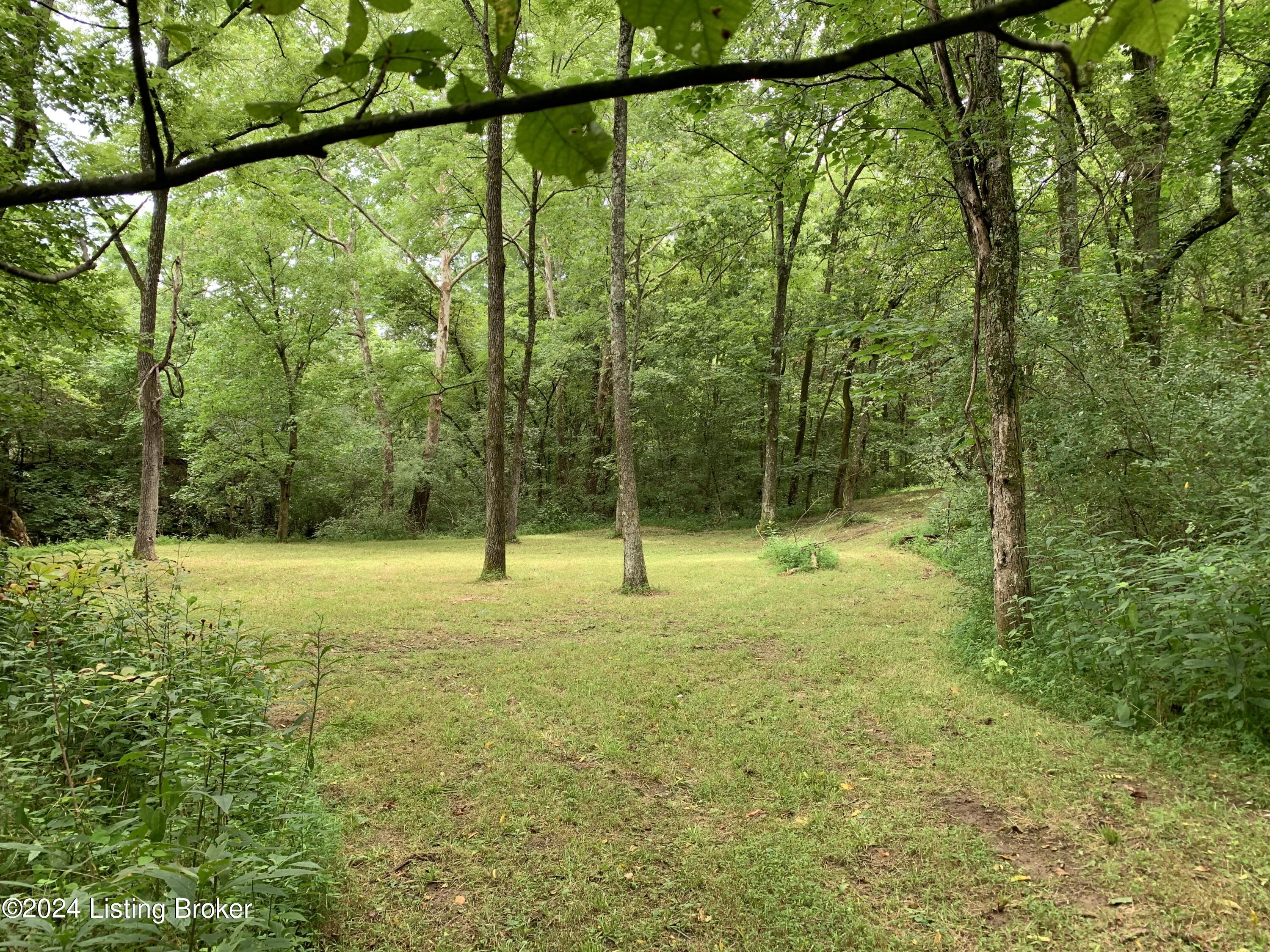 1001 Willisburg Road Lawrenceburg, KY 40342 - Photo 71 of 80 IMG_5253