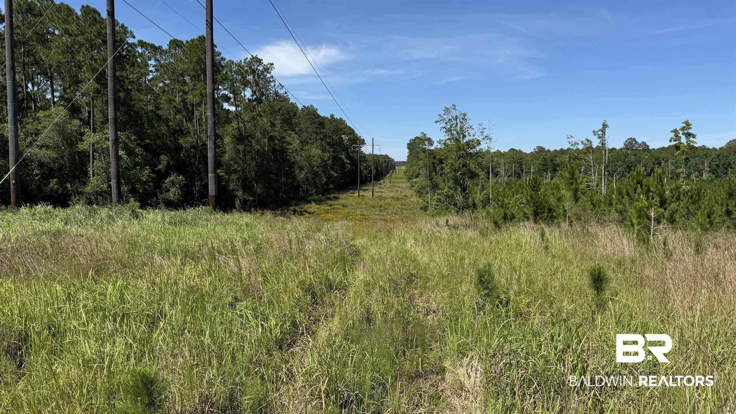 0 County Road 87 Elberta, AL 36530 - Photo 43 of 46