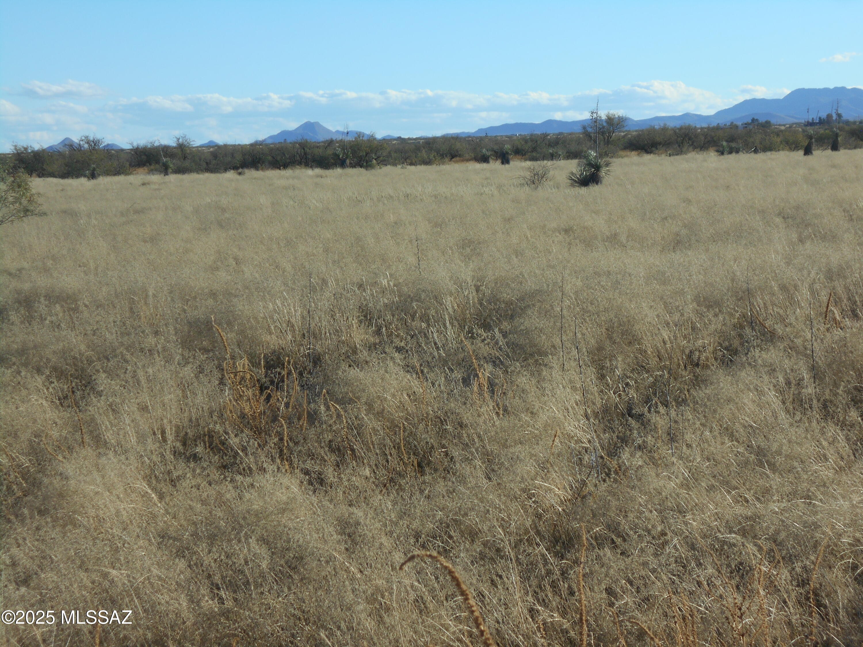 4.25-acres Eastland Road, Unit 8 Cochise, AZ 85606 - Photo 32 of 35