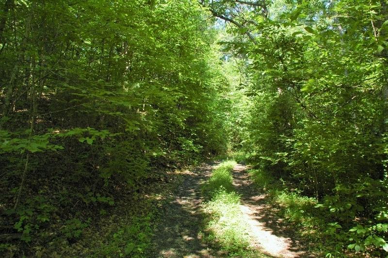 0 Industrial Road Newport, TN 37821 - Photo 16 of 16 listing1134156photo16