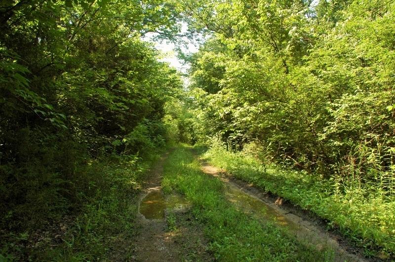 0 Industrial Road Newport, TN 37821 - Photo 3 of 16 listing1134156photo6