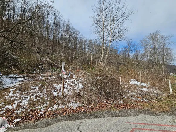 $40,000 | 10007 Orby Cantrell Highway, Unit 6566, Pound, VA 24279