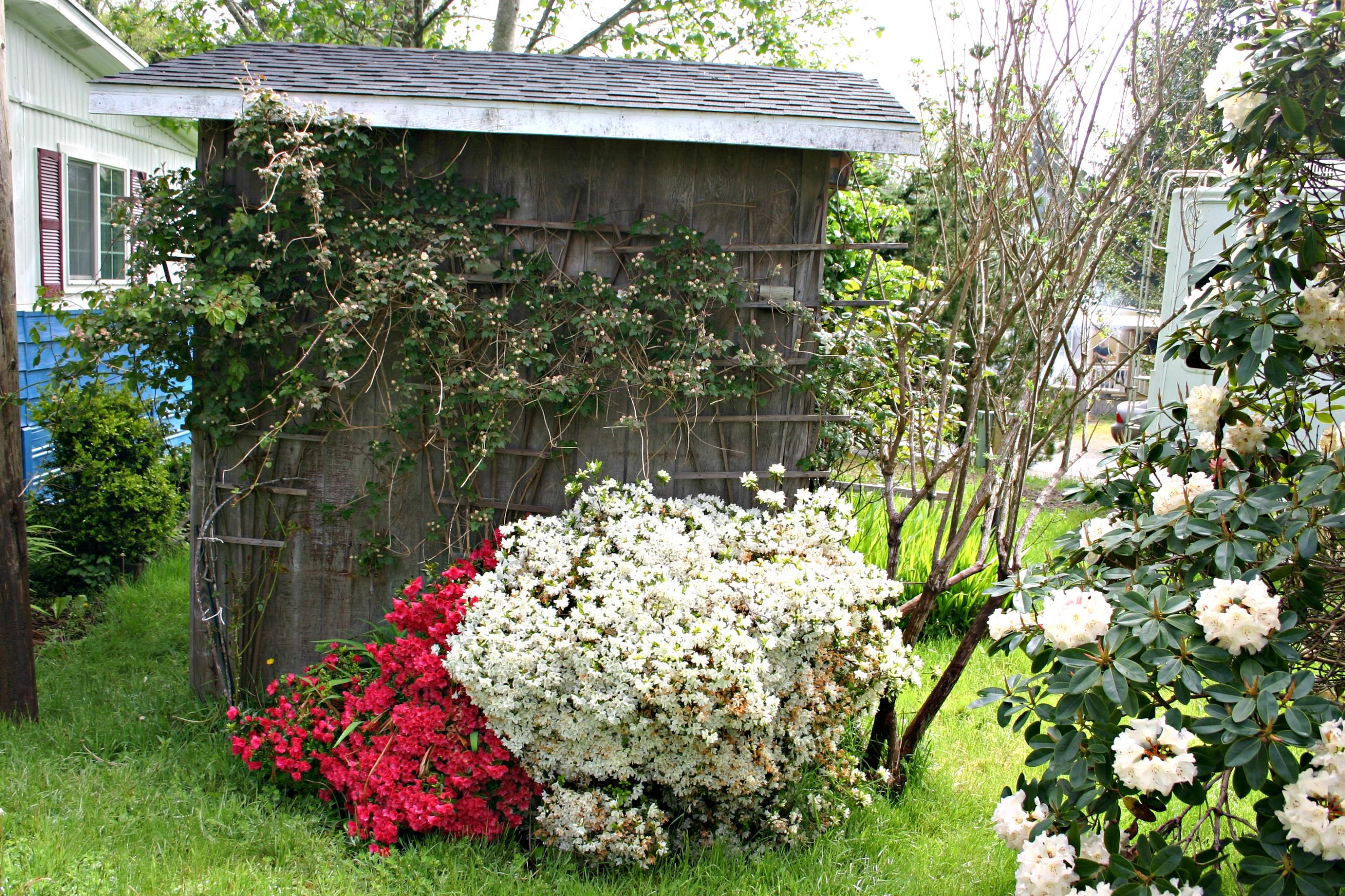 2030 Old Netarts Road West Tillamook, OR 97141 - Photo 40 of 49 Shed