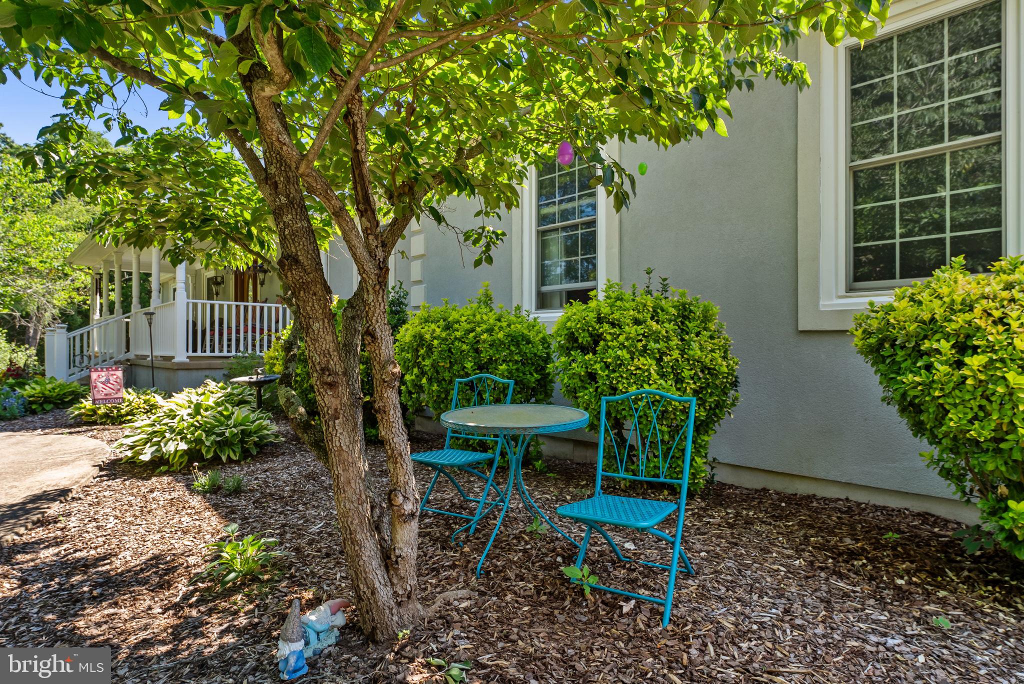 21147 Cedar Grove Road Culpeper, VA 22701 - Photo 14 of 91