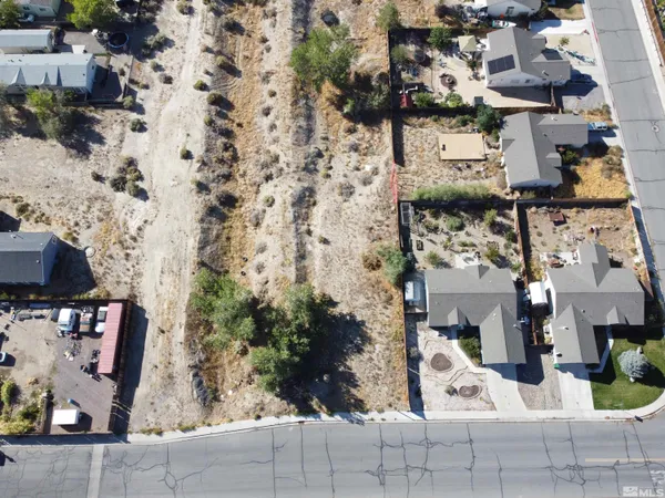 a view of a yard with tree s