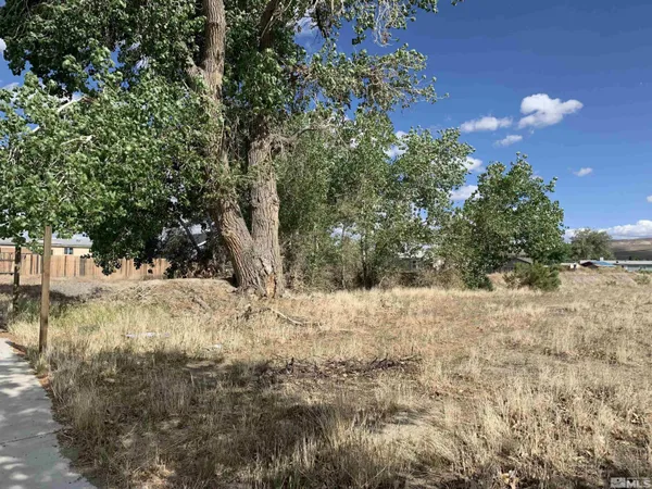 a view of a yard covered in snow