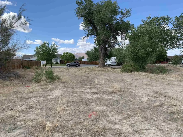 a view of dirt yard with a large tree