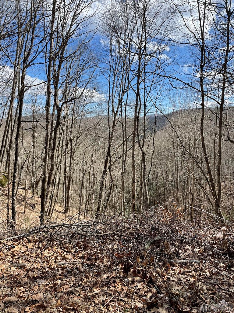 Lot 43 Laurel Falls Road Franklin, NC 28734 - Photo 1 of 6 Gallery Image 1