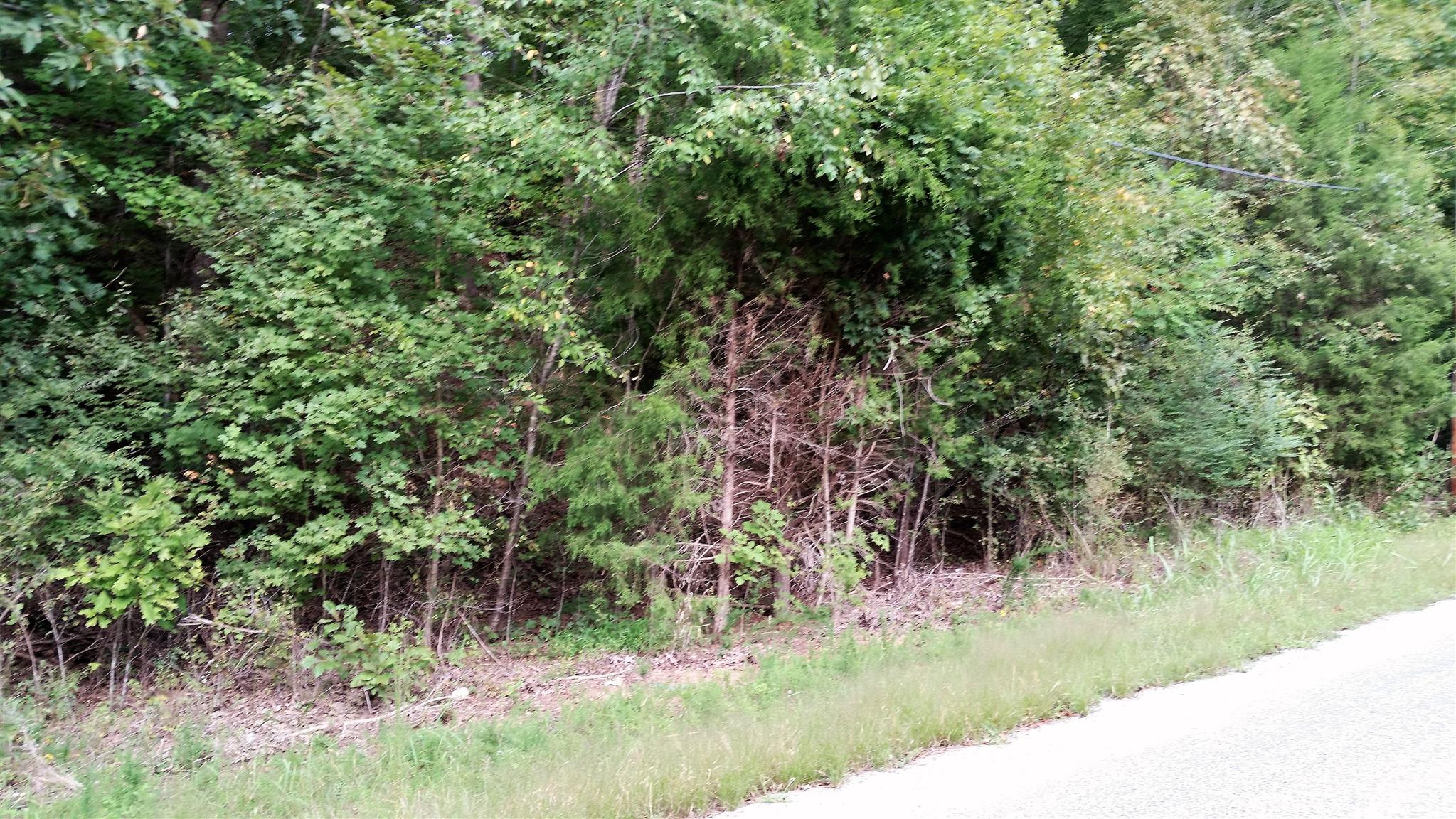0 Elkins Switch Road Centerville, TN 37033 - Photo 3 of 7 Gallery Image 3