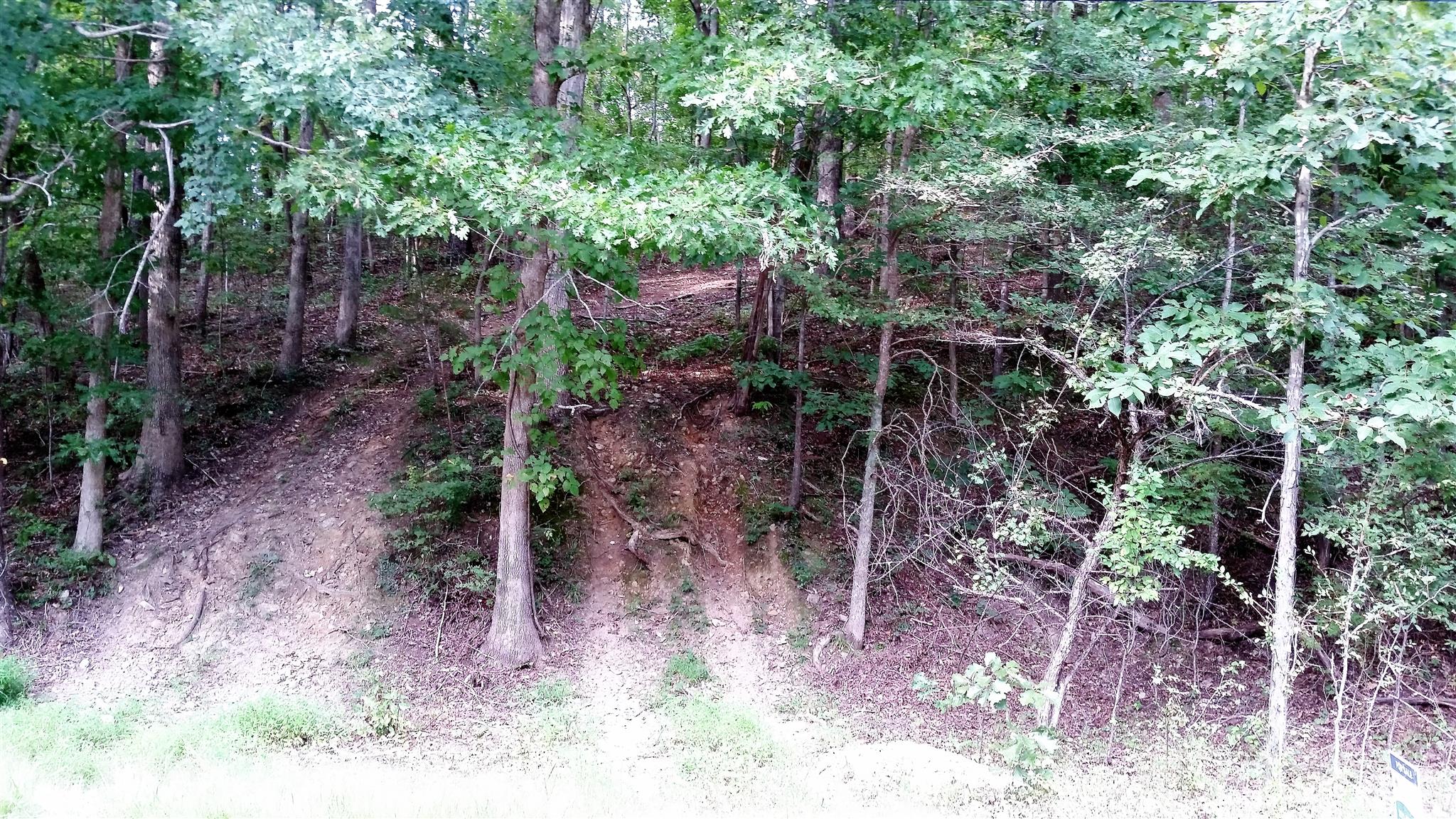 0 Elkins Switch Road Centerville, TN 37033 - Photo 4 of 7 Gallery Image 4