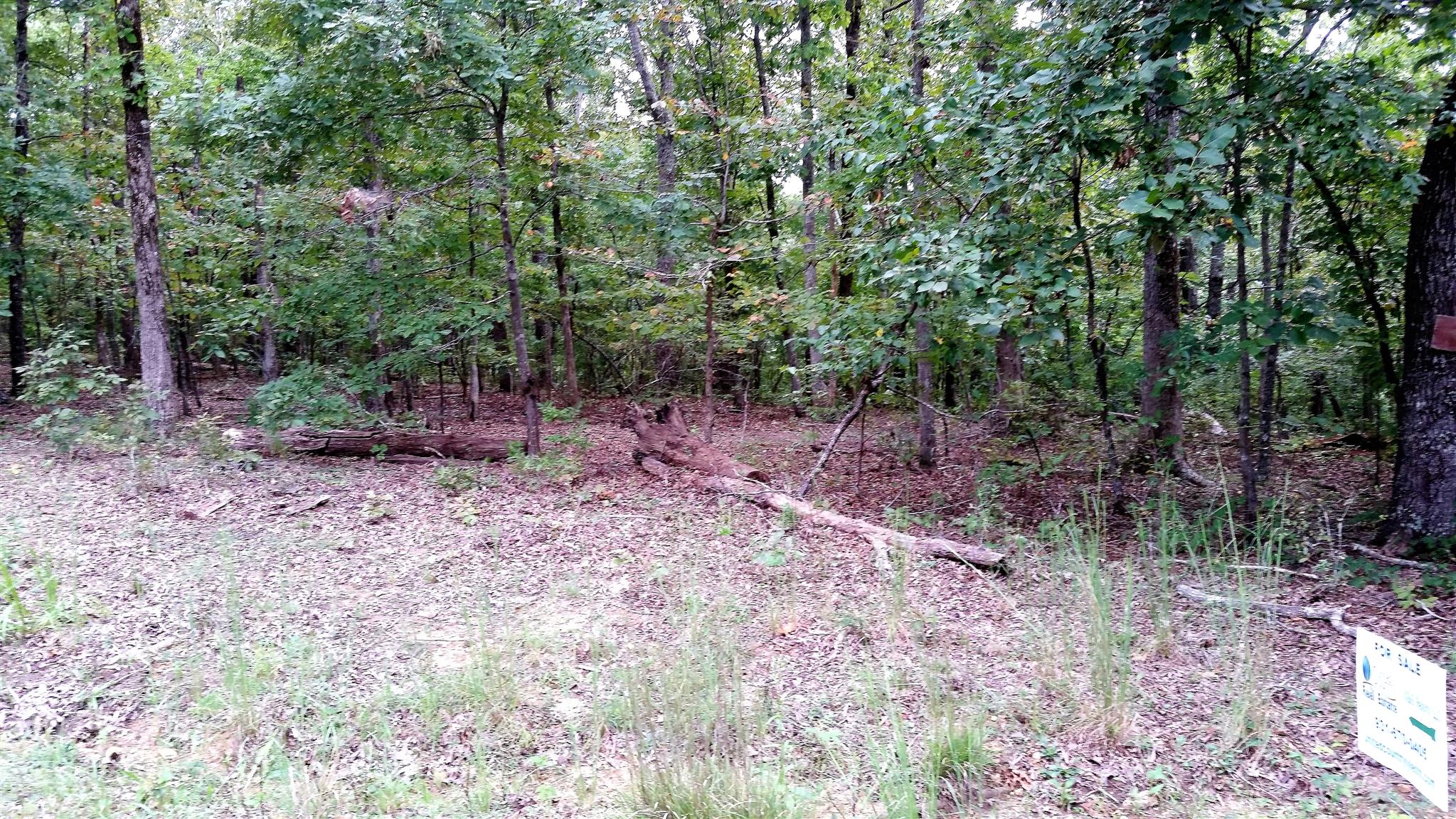 0 Elkins Switch Road Centerville, TN 37033 - Photo 6 of 7 Gallery Image 6