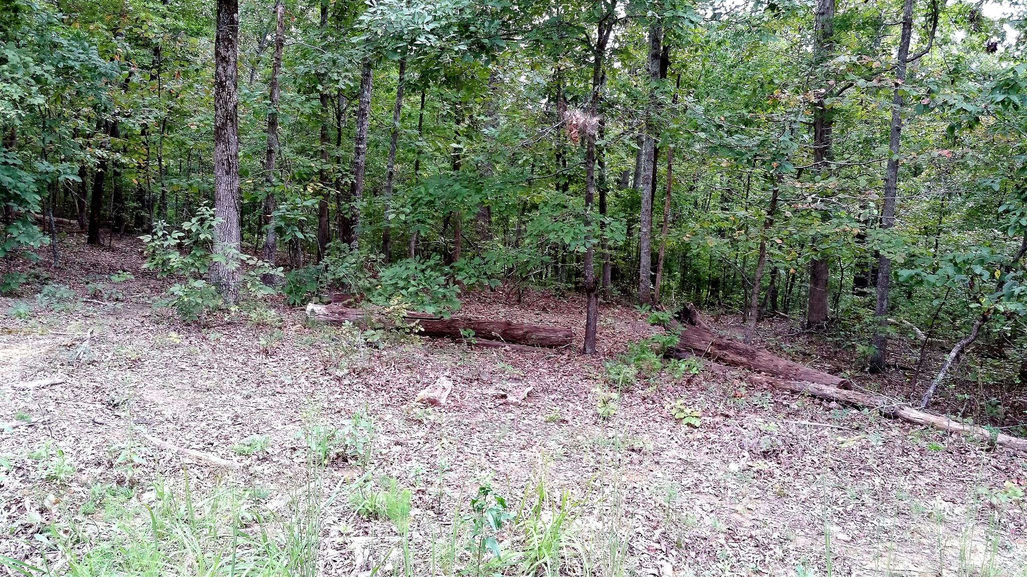 0 Elkins Switch Road Centerville, TN 37033 - Photo 7 of 7 Gallery Image 7