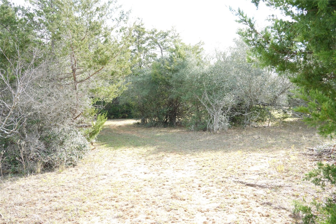 259 Meduna Road Smithville, TX 78957 - Photo 11 of 12 a view of a yard with a tree