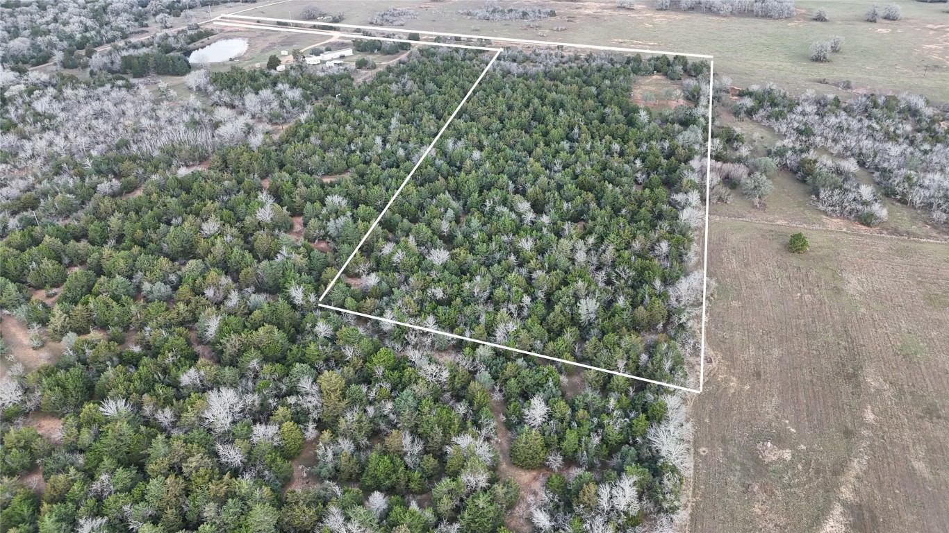 259 Meduna Road Smithville, TX 78957 - Photo 5 of 12 a view of a yard from a window