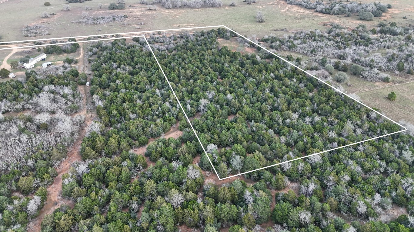259 Meduna Road Smithville, TX 78957 - Photo 6 of 12 a view of a forest from a window