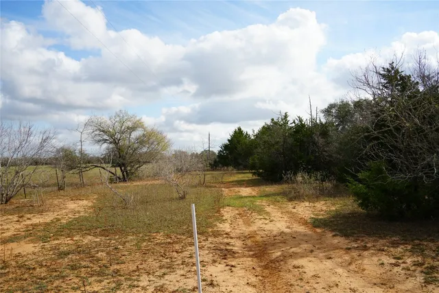 a view of a yard with an trees