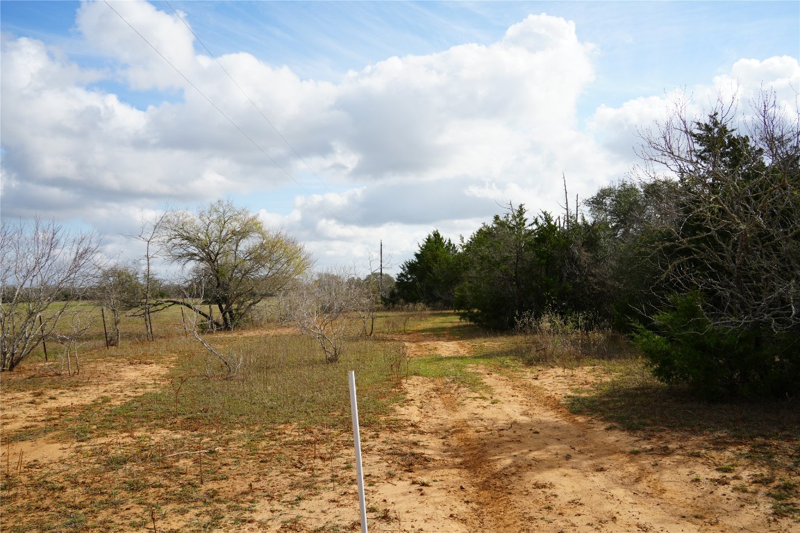 259 Meduna Road Smithville, TX 78957 - Photo 10 of 12 a view of a yard with an trees