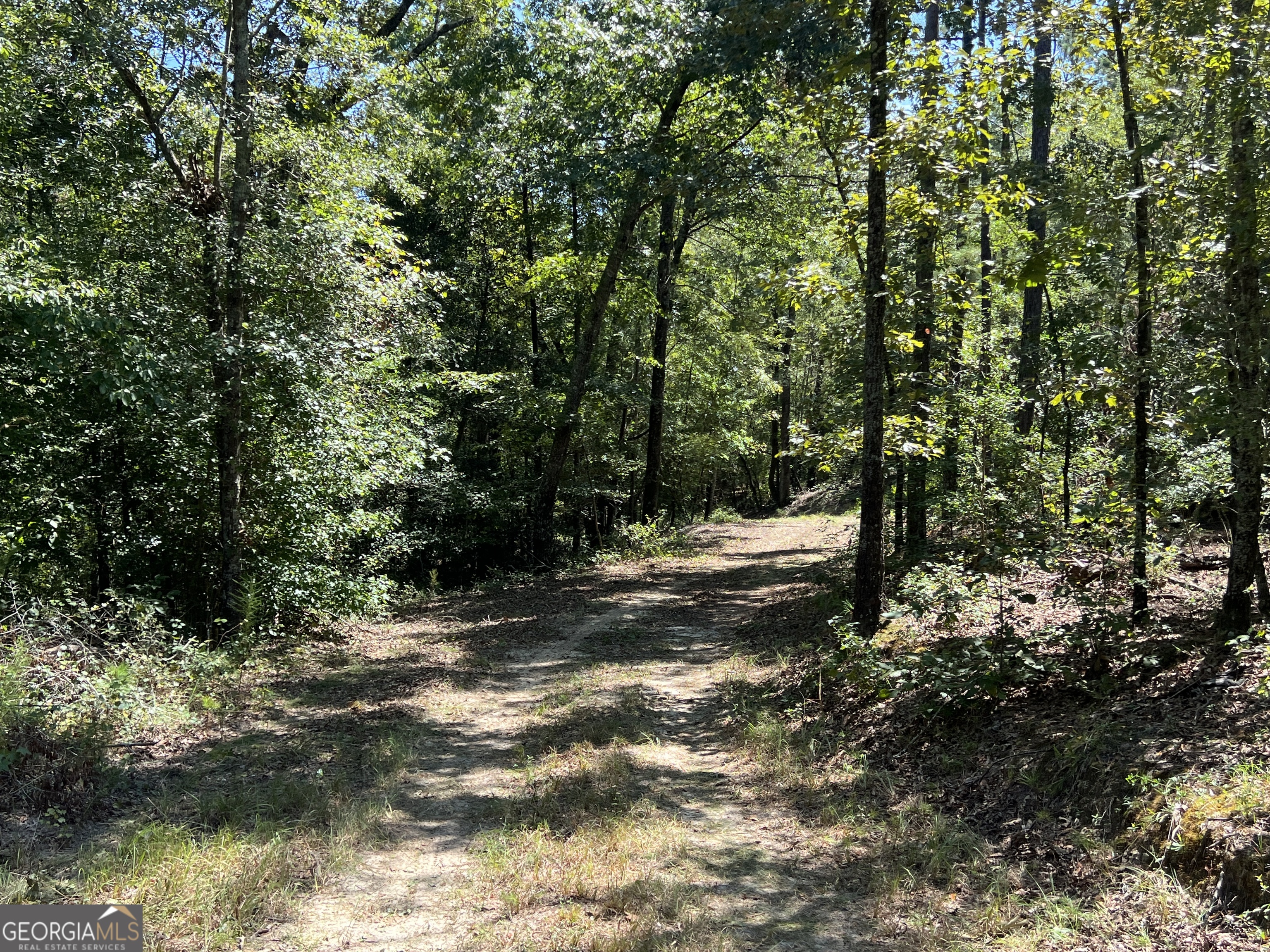 39.87-acres Irby Road Gibson, GA 30810 - Photo 16 of 56 Gallery Image 16
