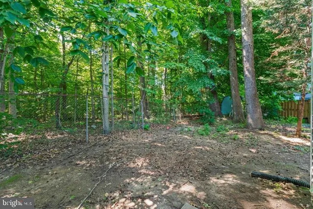 a view of a forest with trees in the background