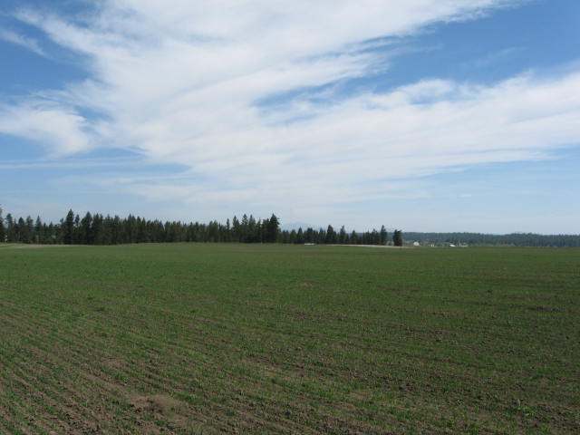 6606 West Crosscut Road Deer Park, WA 99006 - Photo 7 of 9