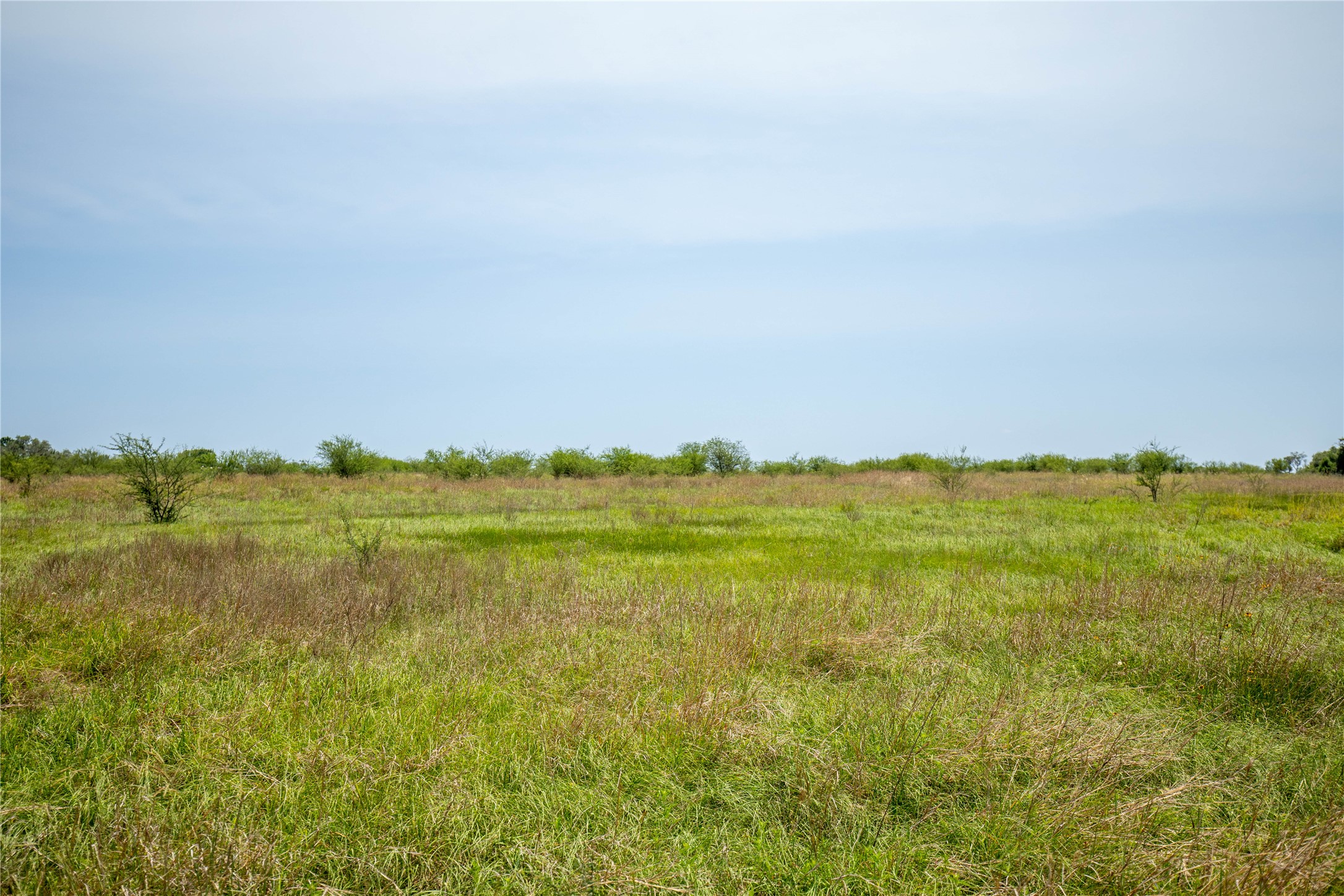 0 Green Dewitt Road Cuero, TX 77954 - Photo 37 of 40
