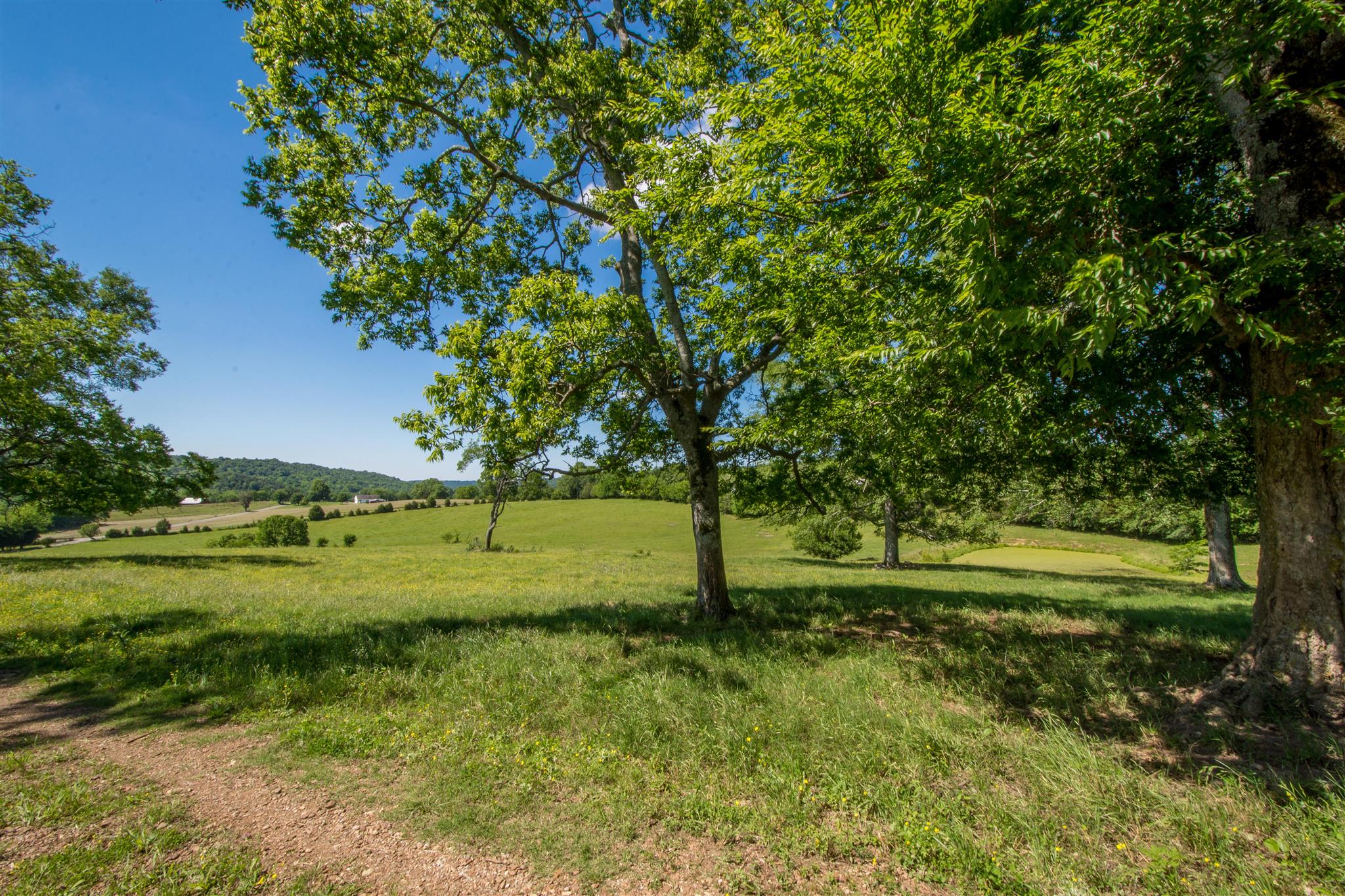 4750 Beech Hill Road Pulaski, TN 38478 - Photo 1 of 30