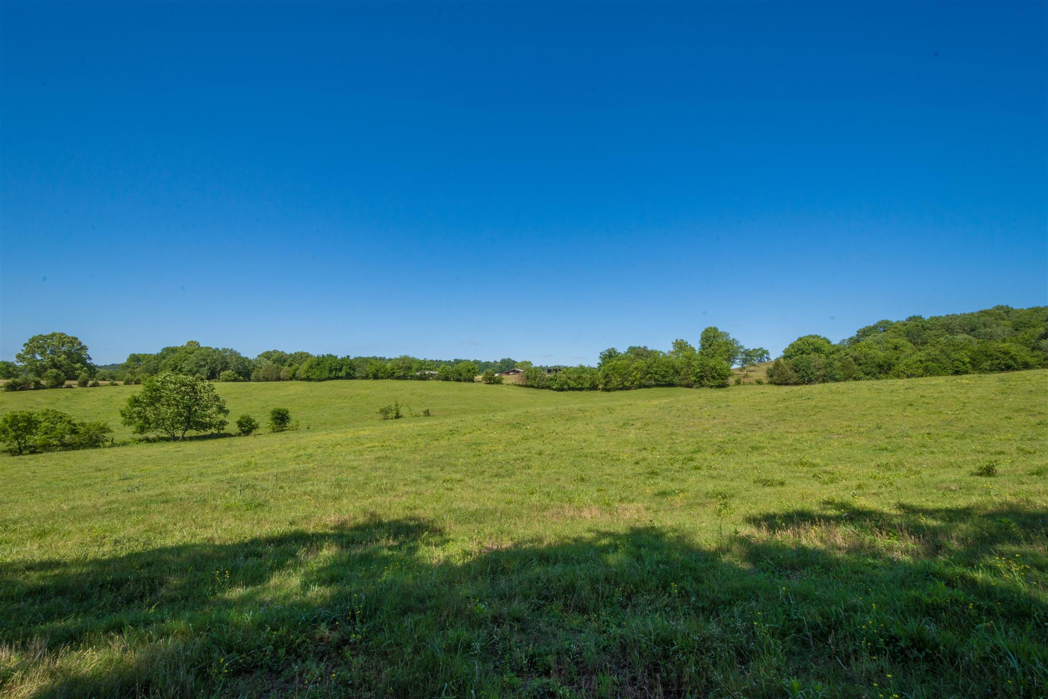 4750 Beech Hill Road Pulaski, TN 38478 - Photo 11 of 30 a view of lake and green space