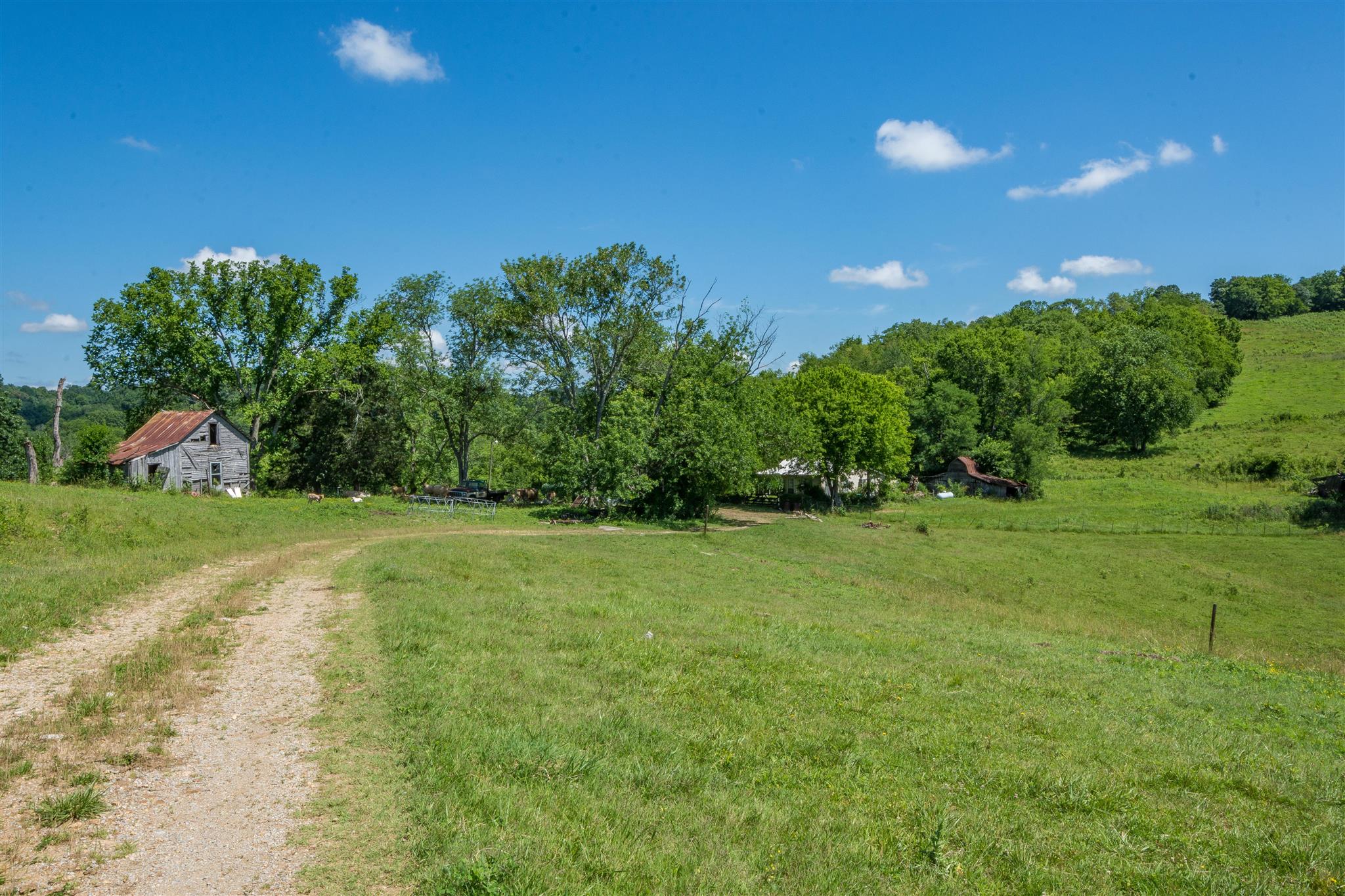 4750 Beech Hill Road Pulaski, TN 38478 - Photo 16 of 30 a view of a field of grass and trees
