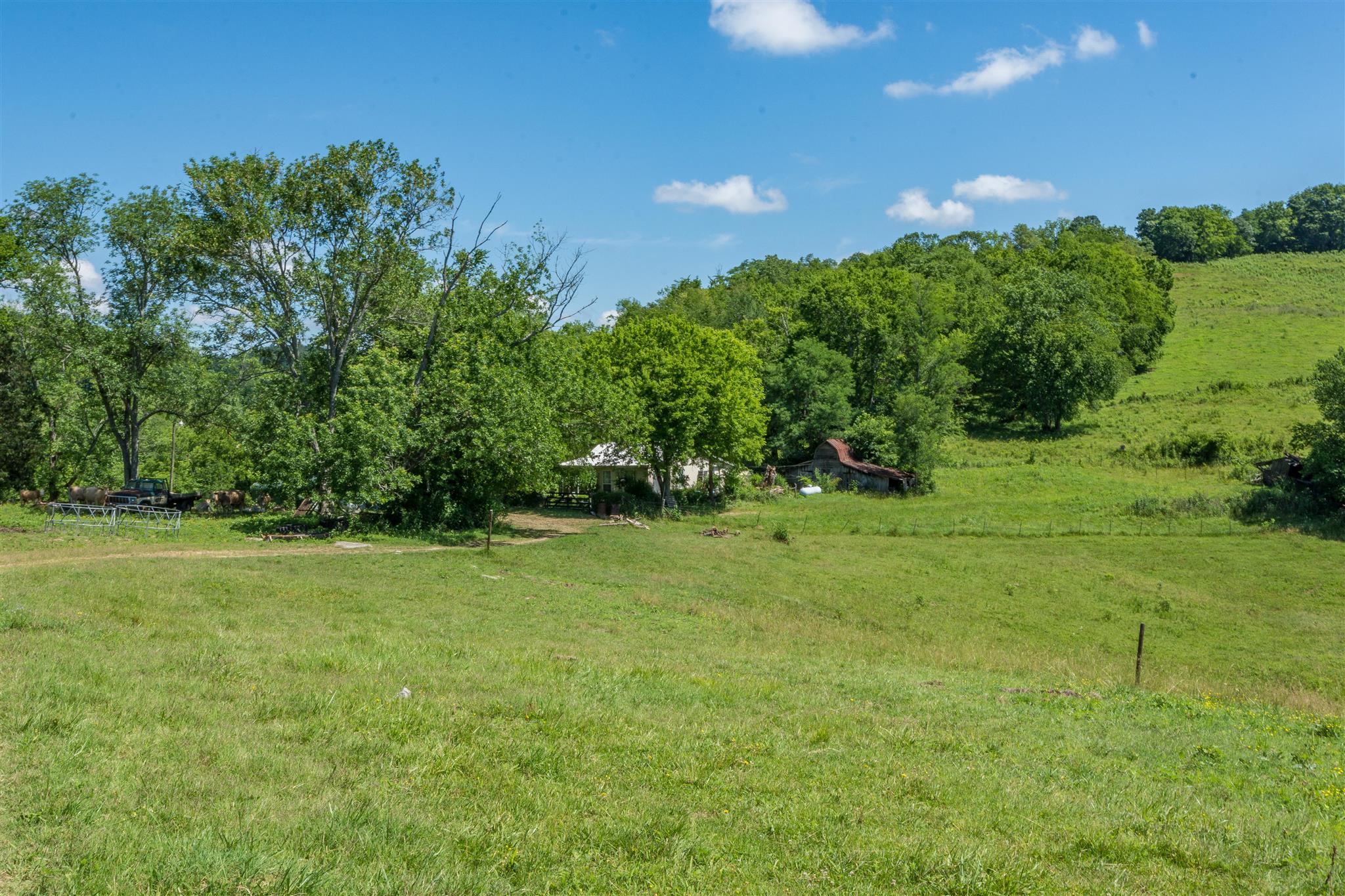 4750 Beech Hill Road Pulaski, TN 38478 - Photo 17 of 30 a view of grassy field with trees