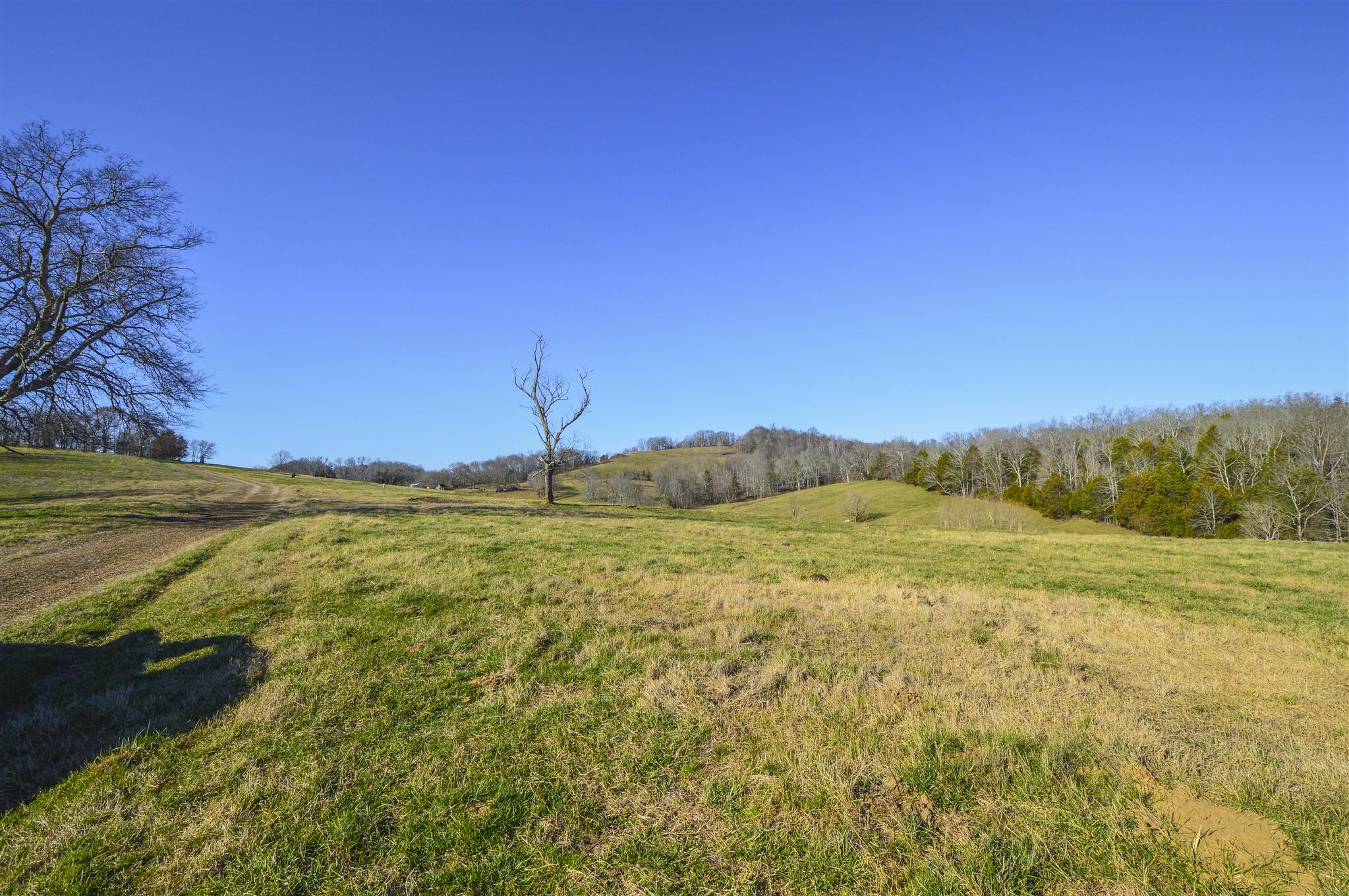 4750 Beech Hill Road Pulaski, TN 38478 - Photo 20 of 30 a view of an ocean from a yard