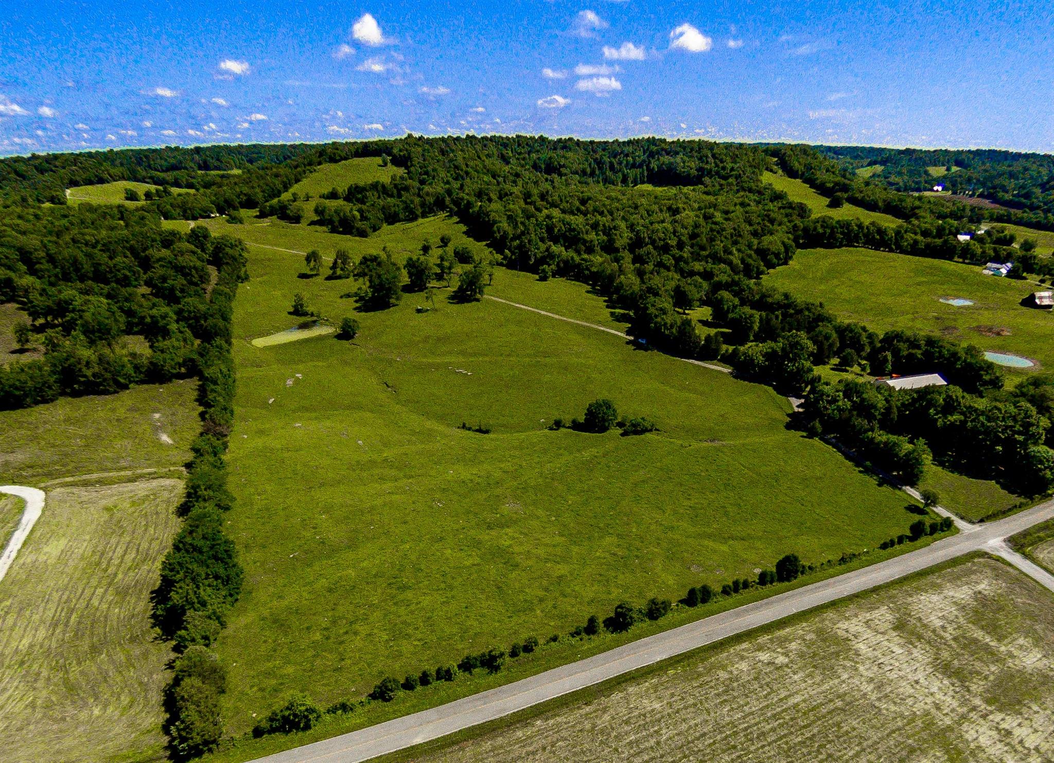 4750 Beech Hill Road Pulaski, TN 38478 - Photo 2 of 30 a view of a field with an ocean