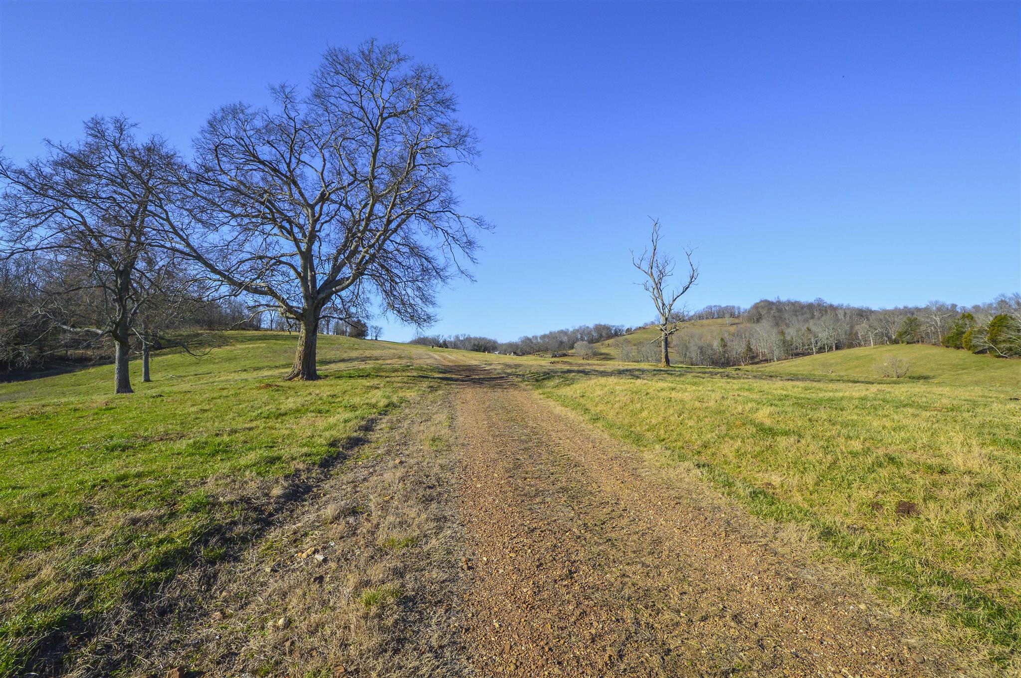 4750 Beech Hill Road Pulaski, TN 38478 - Photo 21 of 30 a view of a field with an trees