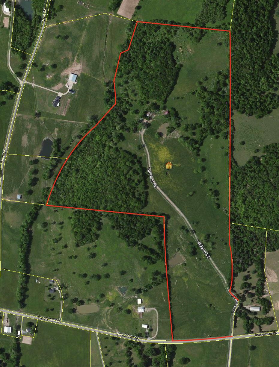 4750 Beech Hill Road Pulaski, TN 38478 - Photo 29 of 30 a view of a yard