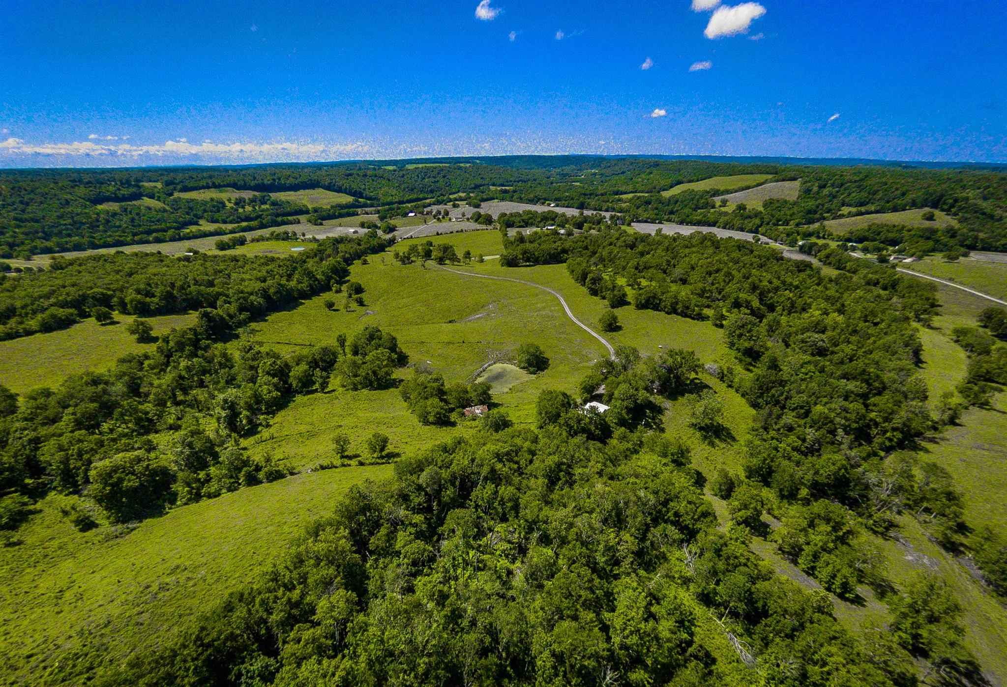 4750 Beech Hill Road Pulaski, TN 38478 - Photo 5 of 30 a view of a green field with lots of bushes