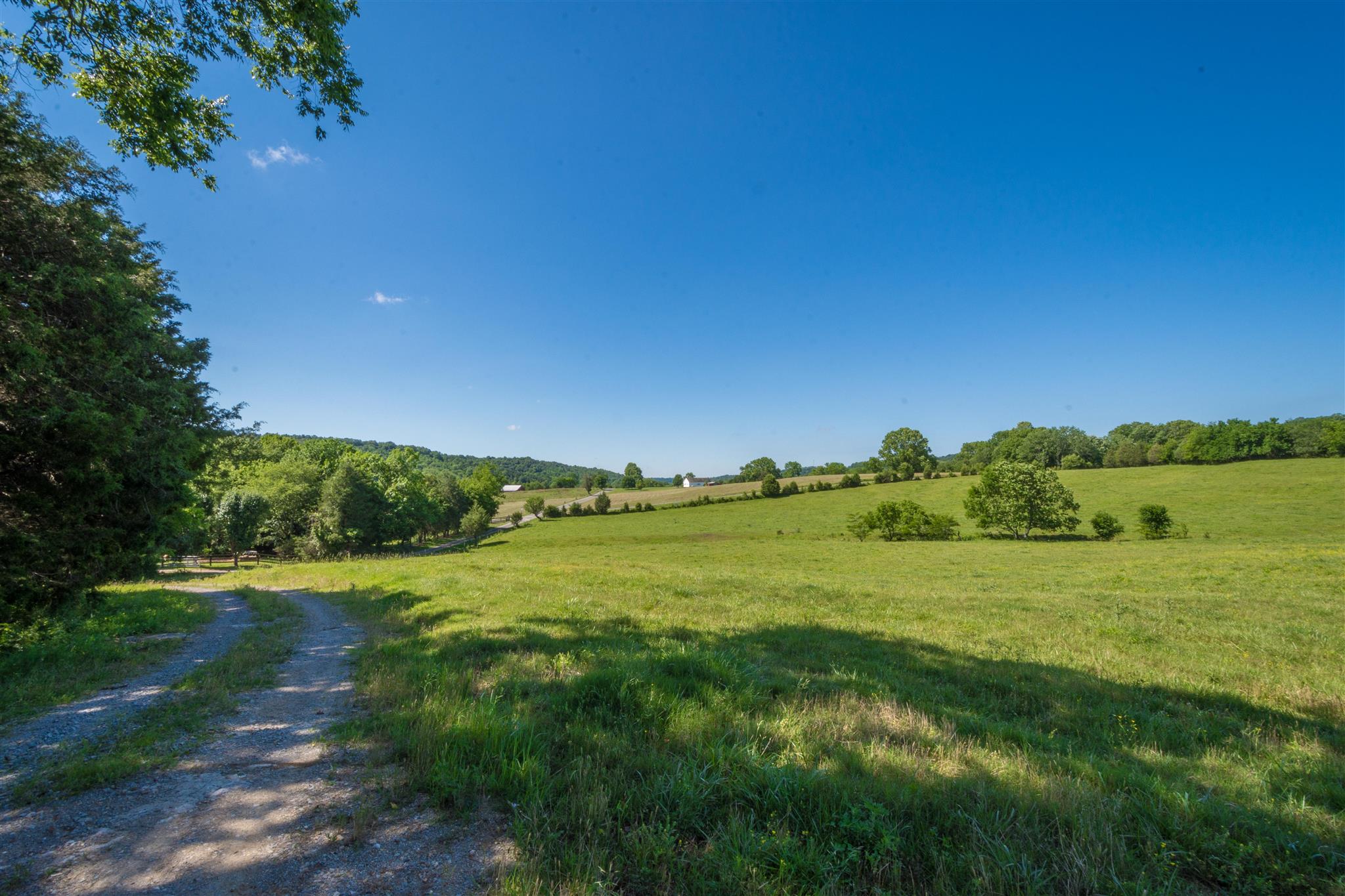 4750 Beech Hill Road Pulaski, TN 38478 - Photo 10 of 30 a view of an ocean from a yard
