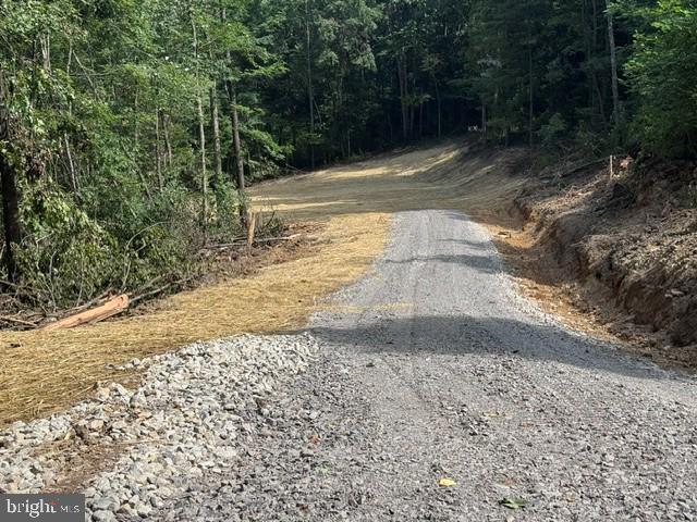 Tbd Locust Grove Road Thornton, WV 26440 - Photo 5 of 24