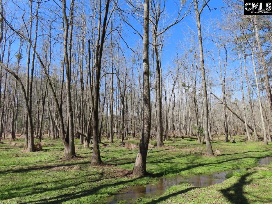 1672 Dixired Road Leesville, SC 29070 - Photo 20 of 67