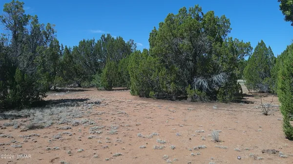 $10,500 | Tbd Tbd Concho Valley, Concho, AZ 85924
