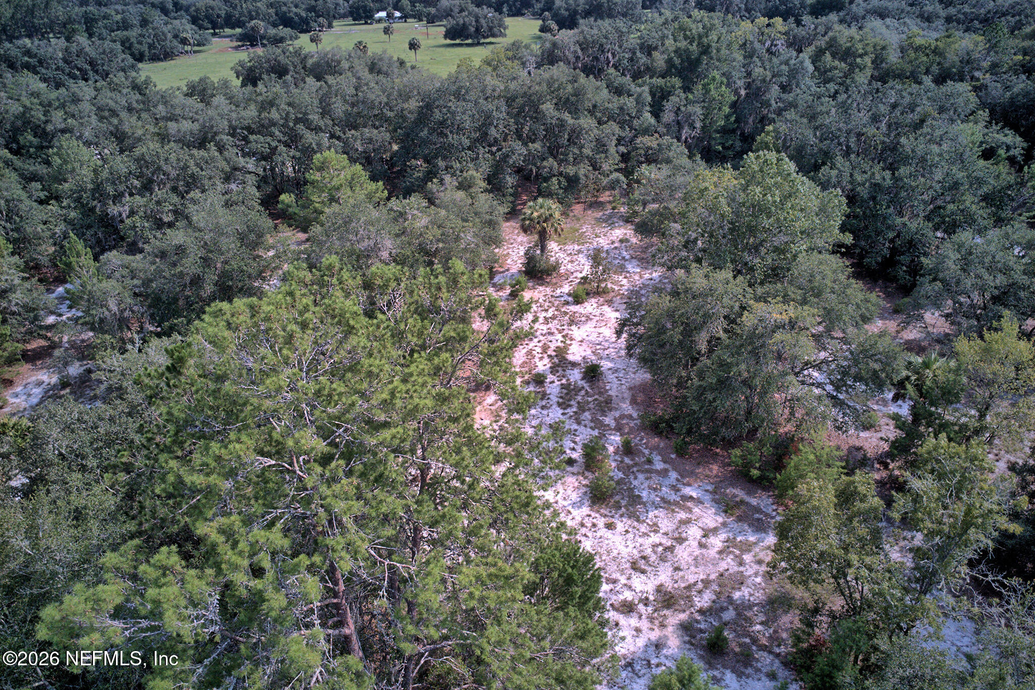 0 Cousintown Road Interlachen, FL 32148 - Photo 8 of 28 Cousintown drone edited - 8