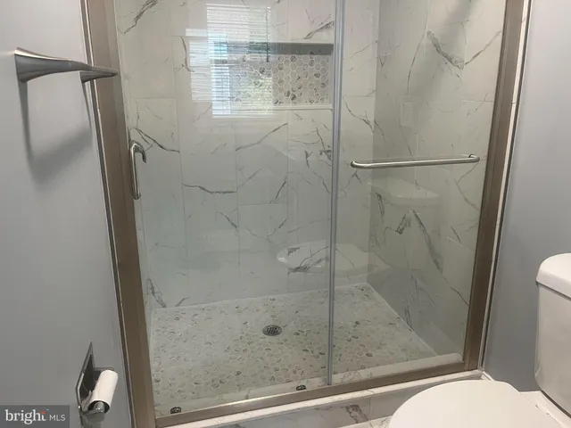 a bathroom with a shower and toilet