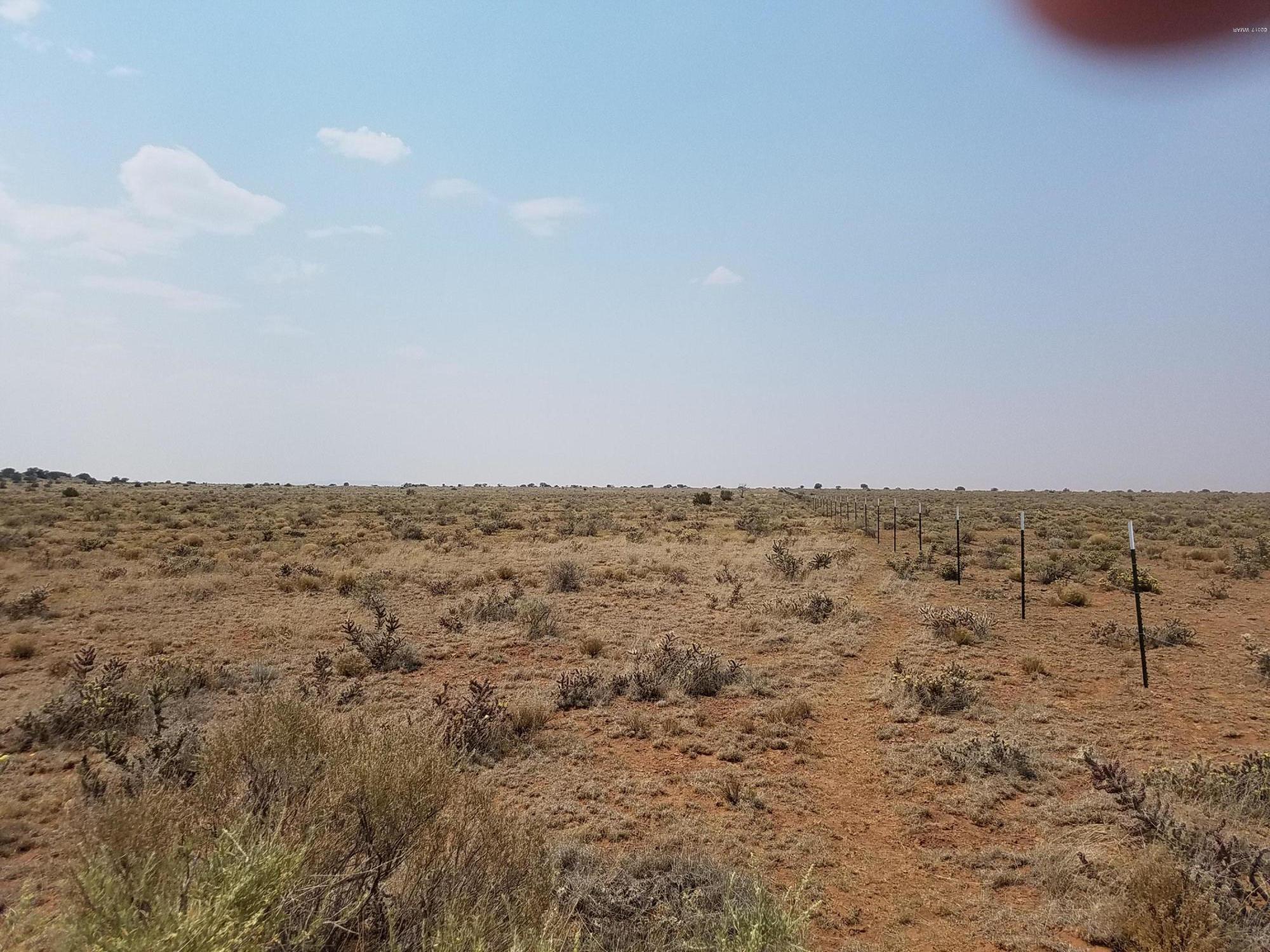 Lot 808 Chevelon Canyon Ranch, Unit 7 Overgaard, AZ 85933 - Photo 1 of 5