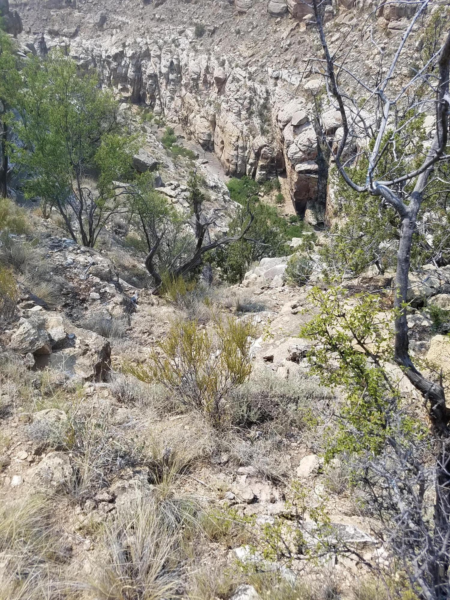 Lot 808 Chevelon Canyon Ranch, Unit 7 Overgaard, AZ 85933 - Photo 5 of 5