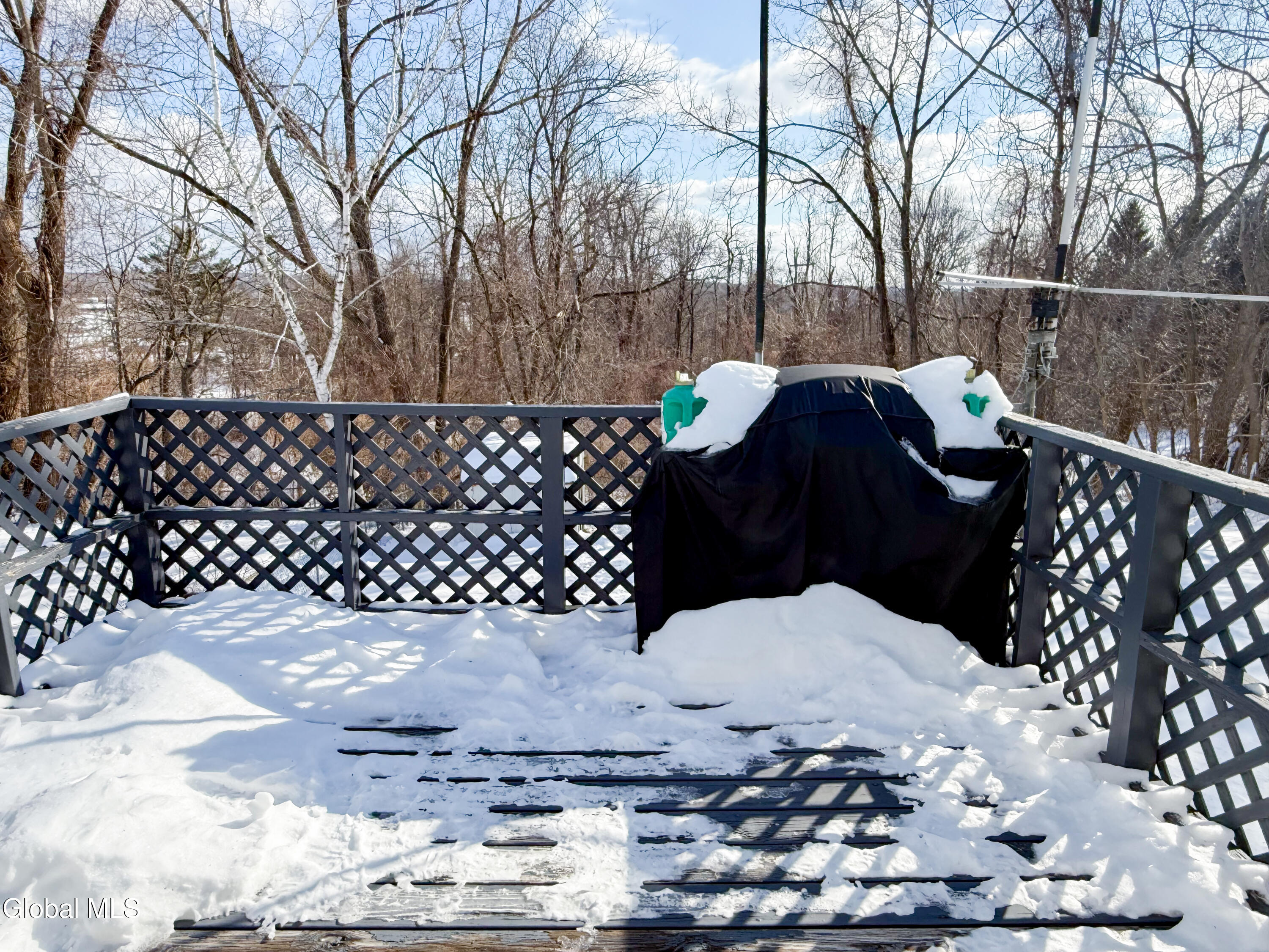 23 Daniel Street East Greenbush, NY 12144 - Photo 8 of 21 23-daniel-8-deck