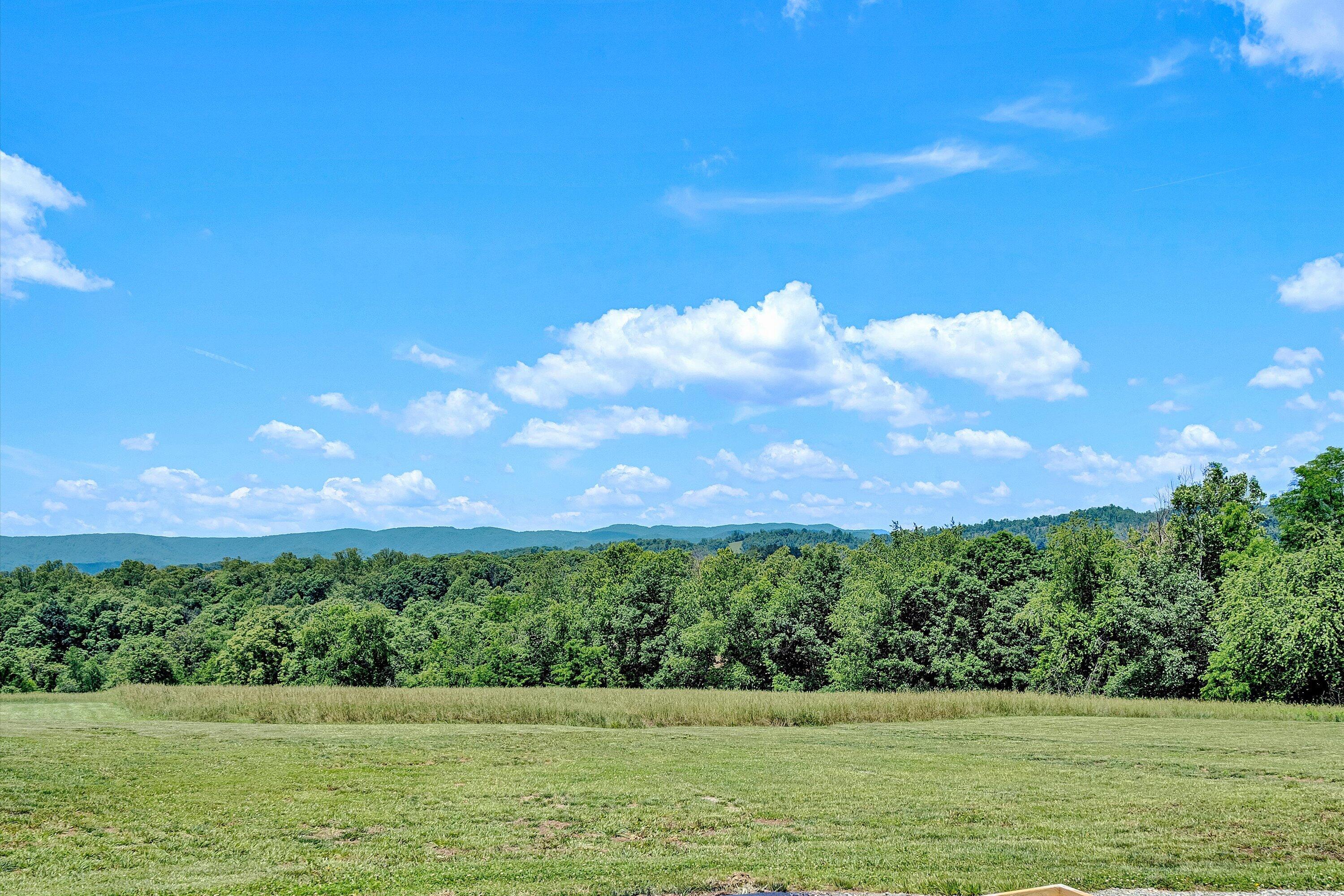 1169 Antioch Road Boones Mill, VA 24065 - Photo 35 of 41 Usable Back Yard