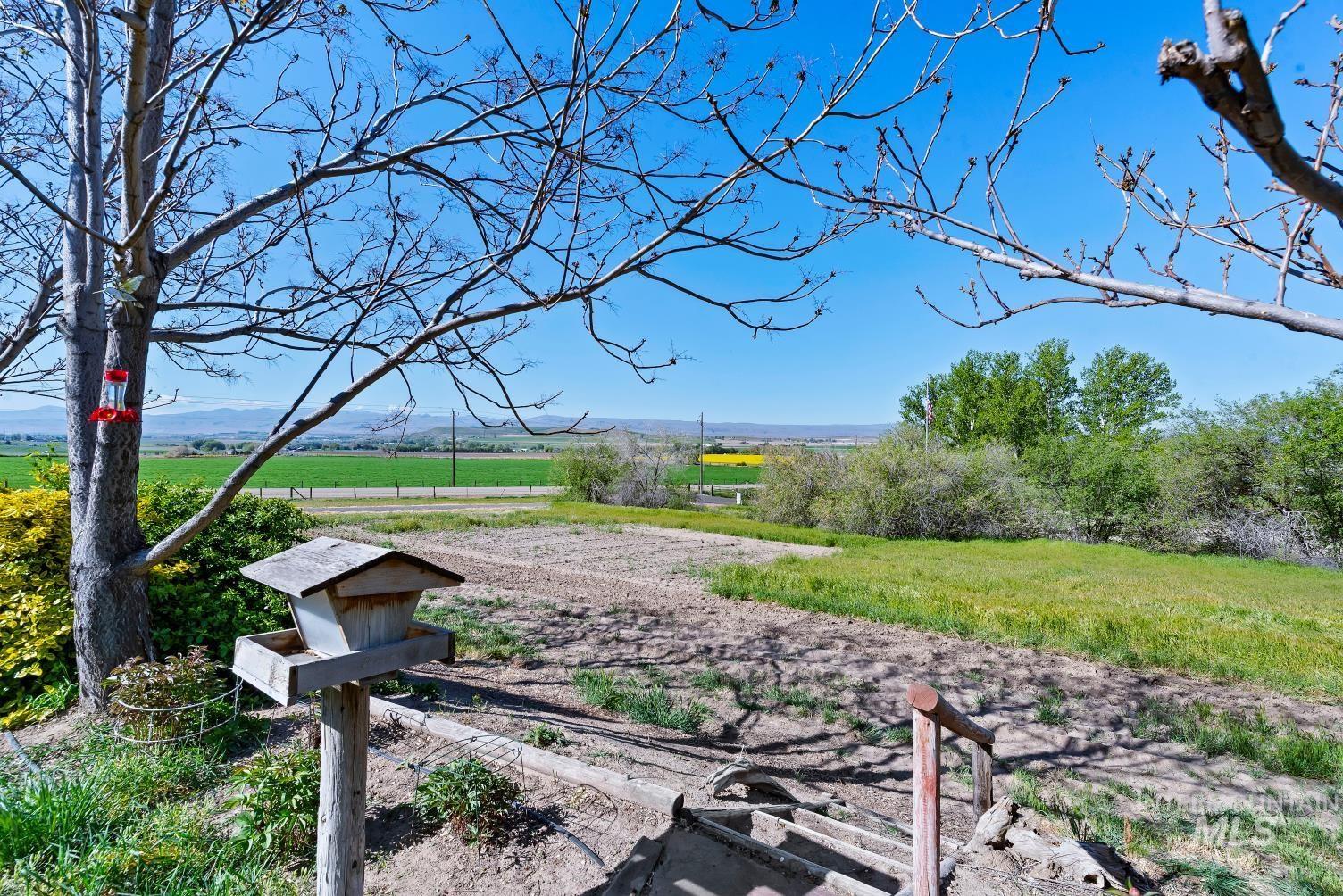 19152 Marsing Road Caldwell, ID 83607 - Photo 3 of 47 Expansive outdoor area featuring a mature tree, natural landscaping, and distant mountain ranges