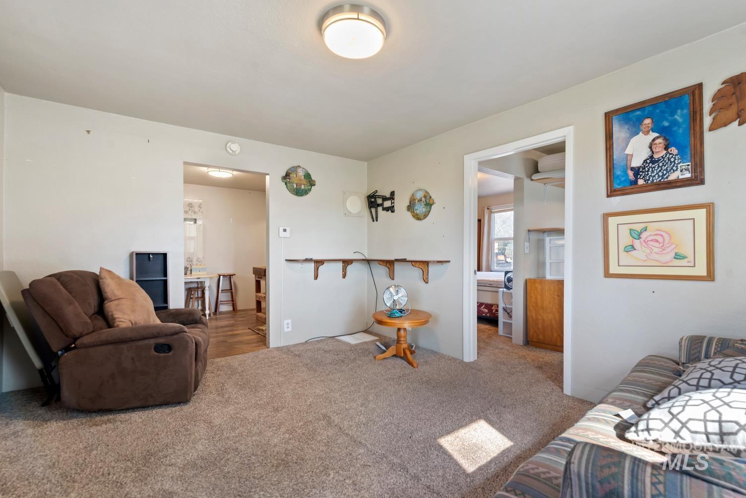 19152 Marsing Road Caldwell, ID 83607 - Photo 43 of 47 Carpeted living space with light-toned walls and a ceiling-mounted light fixture