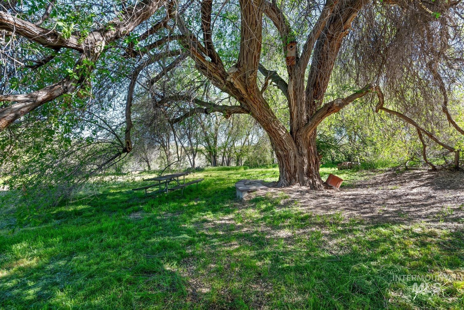 19152 Marsing Road Caldwell, ID 83607 - Photo 7 of 47 Expansive green space featuring mature trees providing natural shading, verdant ground cover, and a picnic table